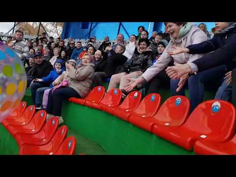 Видео: ДЕЛЬФИНАРИЙ в Адлере