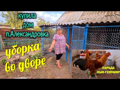 Видео: Купила дом в Александровке. Уборка во дворе.