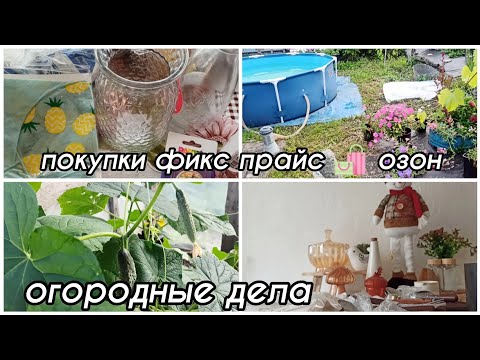 Видео: ПОКУПКИ ФИКС ПРАЙС 🛍 ОЗОН ДАЧНЫЕ ДЕЛА