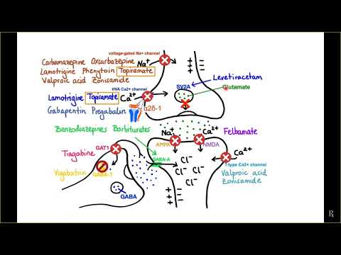 Видео: Противоэпилептические средства