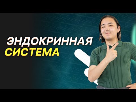Видео: Эндокринная система. ЕНТ 2024.