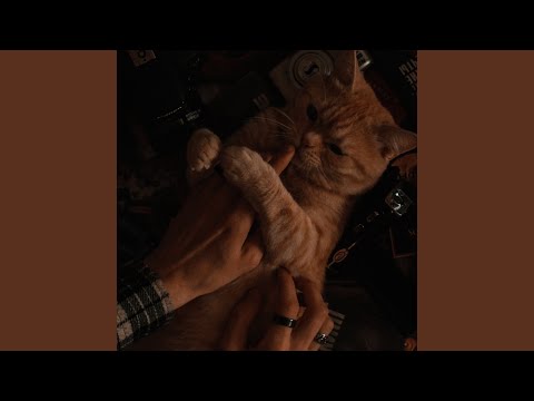 Видео: почему люди грустят