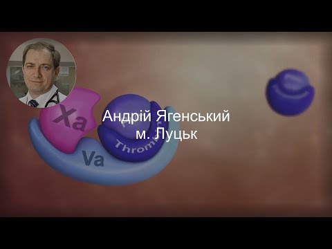 Видео: Андрій Ягенський