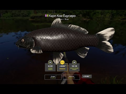 Видео: Новая рабочая сборка для фарма серебра на Медном. Русская рыбалка 4. РР4.