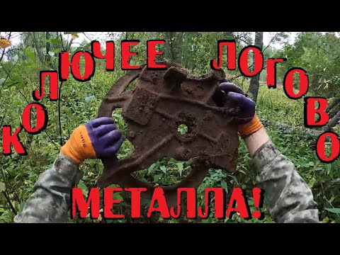 Видео: 🟩ASMP КОП МЕТАЛЛА — НЕ ЗРЯ ВЫБРАЛИСЬ С ПРИЦЕПОМ!