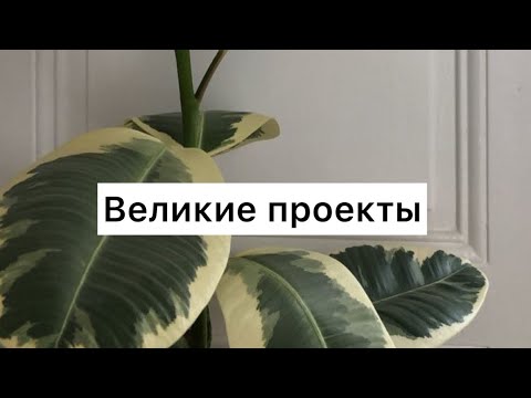 Видео: Великие проекты ( Табиғат Қаутай)