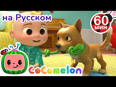 Видео: Мой Пёс Бинго | Сборник 1 Час | CoComelon на русском — Детские песенки | Мультики для детей