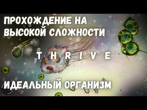 Видео: Идеальный Организм - Thrive - Высокая Сложность