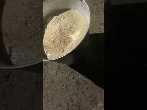 Видео: каша для откорма бычков. 7 л воды 1,2 кг ячменя