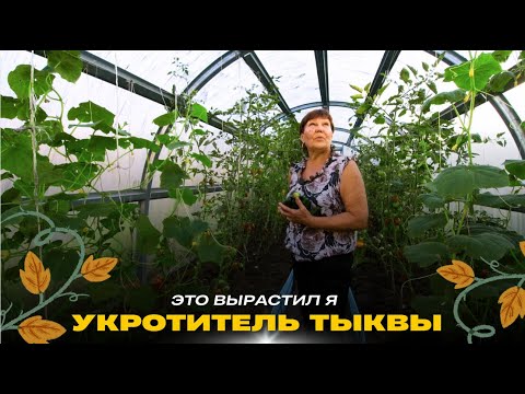 Видео: Укротитель тыквы // Это вырастил я! Сезон 2