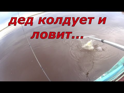 Видео: На рыбалку с дедом. Поймали всё- ёрш, чебак, сорога, окунь, язь.