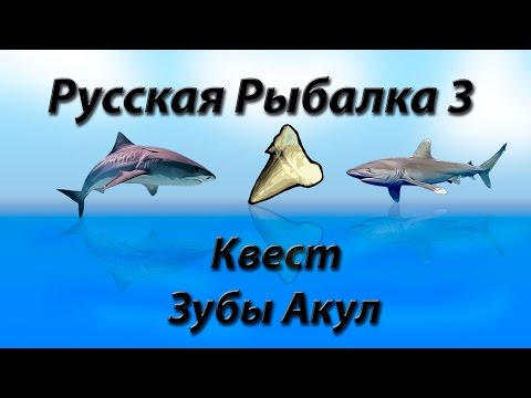 Видео: Русская Рыбалка 3.9 Квест Зубы Акул