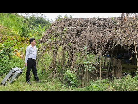 Видео: CEO: Возвращаясь домой из Японии и строя жизнь с нуля, я столкнулся с трудностями на обратном пути