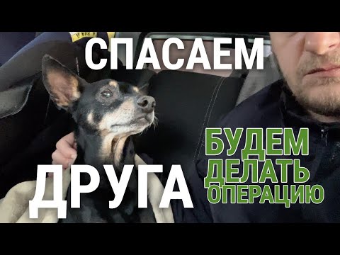 Видео: БУДЕМ БОРОТЬСЯ! БЛАГОТВОРИТЕЛЬНЫЙ ВЛОГ ДЛЯ ДРУГА