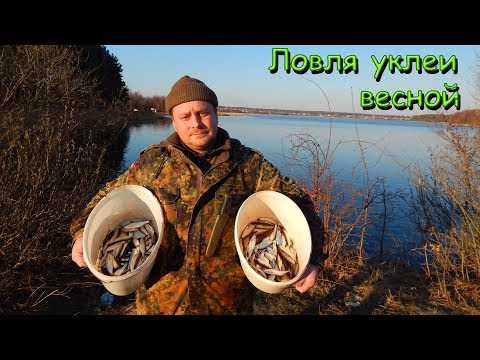 Видео: ЛОВЛЯ УКЛЕЙКИ \ Рыбалка 2019 открытие..