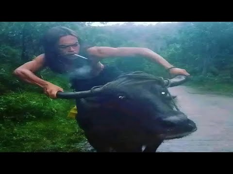 Видео: Абсурдные мемы, которые я нашел в Интернете