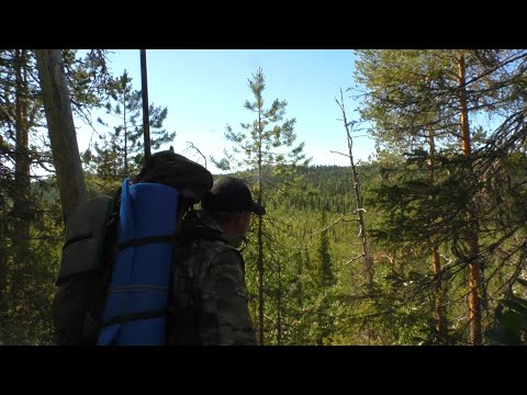 Видео: ТЯЖЕЛЫЙ ПЕРЕХОД. НАРВАЛСЯ НА КРУПНОГО ХАРИУСА. ЖАРА, МНОГО ГНУСА. ВЫБИЛСЯ ИЗ СИЛ.
