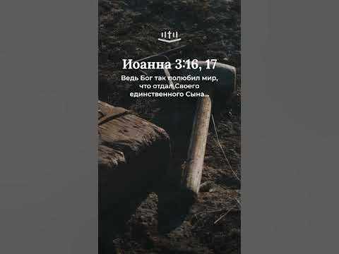 Видео: Иоанна 3:16,17 современный перевод Библии #shorts
