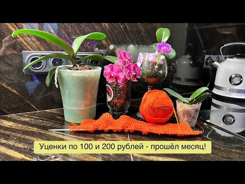 Видео: Азиатские подростки 1,7 и 2,5 из @ОрхоРай  за 100 и 200 рублей спустя месяц! 🔥🔥🔥
