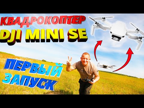 Видео: Первый запуск Квадрокоптера dji MINI SE Обзор