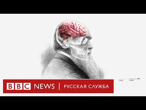 Видео: Теория эволюции Дарвина: как он до этого додумался?