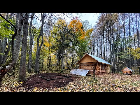 Видео: Медведь ушел, но обещал вернуться | Начали строительство баньки | Прибираемся возле лесной избы