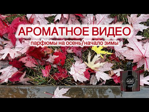 Видео: МОИ АРОМАТЫ  🍁 ТЁПЛЫЕ и УЮТНЫЕ 🍁 ОСВЕЖАЮЩИЕ и ВКУСНЫЕ 🤩