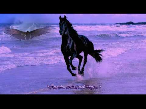 Видео: Прости меня, мой друг( автор Инна Разумовская )