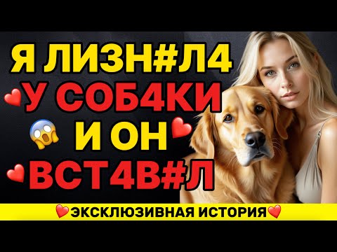 Видео: Мой самый большой секрет знает только мой пёс – истории из жизни и измены