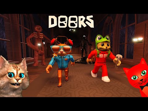 Видео: ВЕСЁЛЫЙ КОТ ворует шкафы!! Два кота убегают из ОТЕЛЯ роблокс | DOORS roblox | Коты проходят ДОРС.