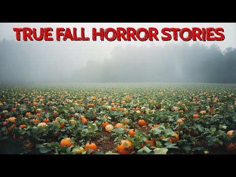Видео: 10 правдивых историй ужасов осени