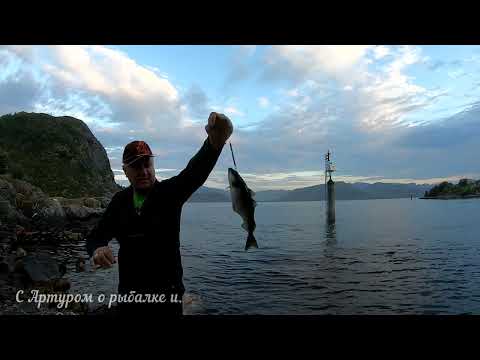 Видео: Вроде не сухой, но...   Приметам надо верить. Рыбалка в Норвегии