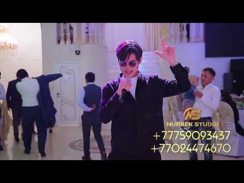 Видео: Девушка из города Караганда, тойда жанды дауыс, әнші Мади. #НурбекСтудия #Мади. 8775-909-34-37