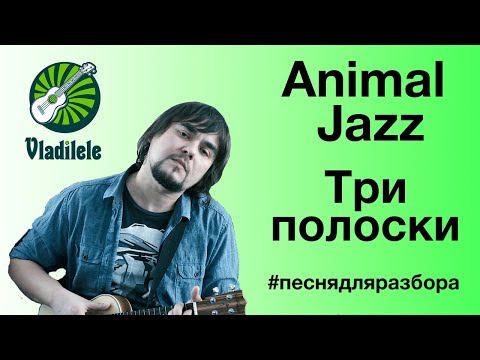 Видео: ANIMAL ДЖАZ - ТРИ ПОЛОСКИ разбор на укулеле