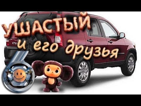 Видео: САЙЛЕНТБЛОК УШАСТЫЙ Honda.  (dzen.ru/garage_6)