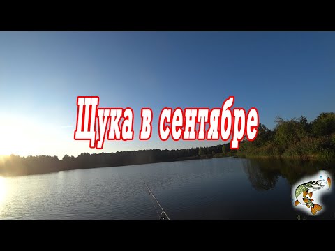 Видео: Ловля щуки в сентябре  Лучшие колебалки 2023