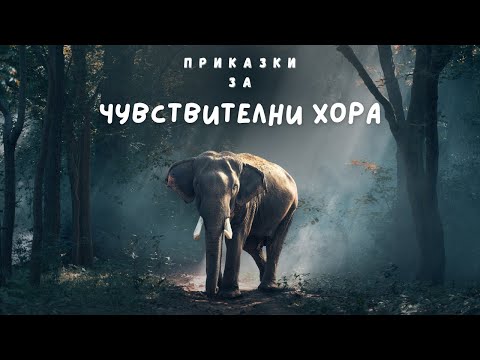 Видео: ПРИКАЗКИ ЗА ЧУВСТВИТЕЛНИ ХОРА 1. КЪДЕ Е БУДА? 2. ПО-МАЛКИТЕ БРАТЯ 3. ОСЪЗНАВАНЕ 4. СЛОЖНИ ПРОБЛЕМИ