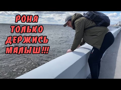 Видео: Щенок упал в воду. Спасение щенка немецкой овчарки