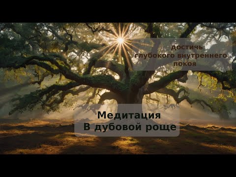 Видео: В дубовой роще | Древняя мудрость и современная психология
