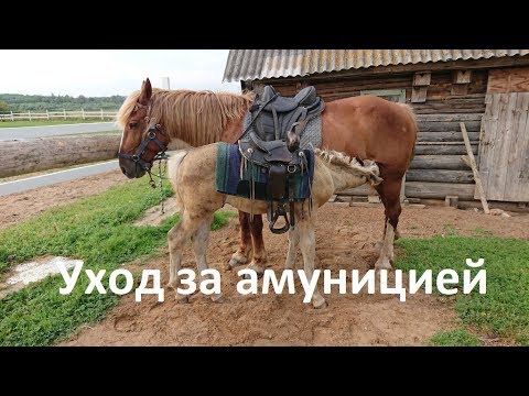 Видео: Конная амуниция, уход за амуницией.