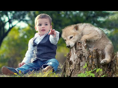 Видео: Этого мальчика все считали дурачком и только ВОЛЧОНОК открыл всю его ДУШУ