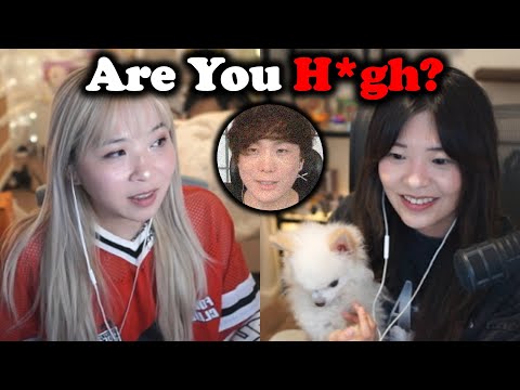 Видео: Offstream Sykkuno становится хаотичным, Миён и Ивонн не могут с этим справиться