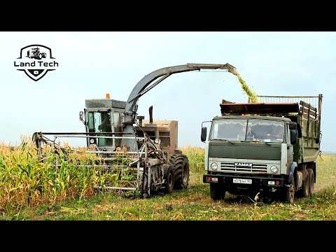 Видео: Давно такого не видел - комбайн КСК-100 убирает кукурузу на силос!