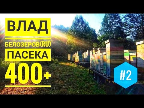 Видео: #2 #Пасека 400+ Влад Белозеров (RU): как получить #грант 3 млн. RUR, #технология и мн. др.