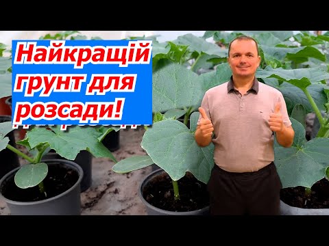 Видео: В якому грунті виросте якісна розсада.