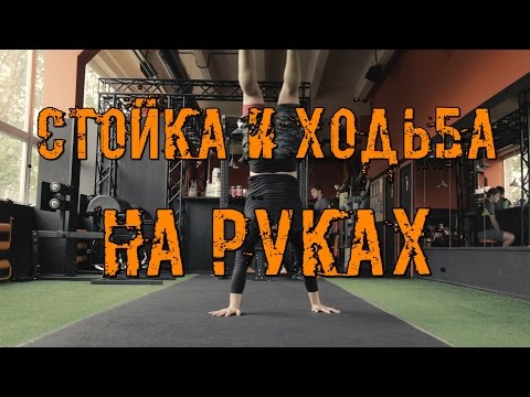 Видео: Как научиться ходить на руках с нуля? Все подсобные упражнения ! Тренер  Макс Докучаев. [ IDOL GYM ]