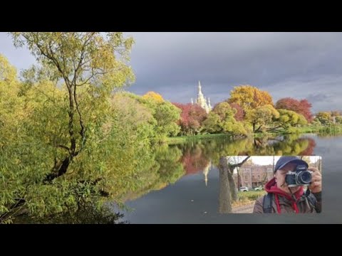 Видео: Золотая осень в Колонистском парке.