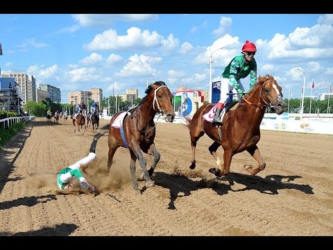 Видео: Победа Индиго Флейма и падение Артема Падучева в призе Министра сельского хозяйства РФ