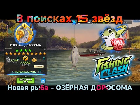 Видео: В поисках 15 Ти звёзд/ Река Потомак , новая рыба/ Fishing Clash: Реальная рыбалка