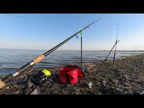 Видео: Открытие сезона фидерной рыбалки 2024. Уелги.